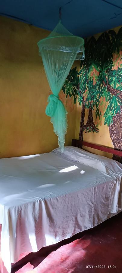 Hostel La Gloria Ometepe Buitenkant foto