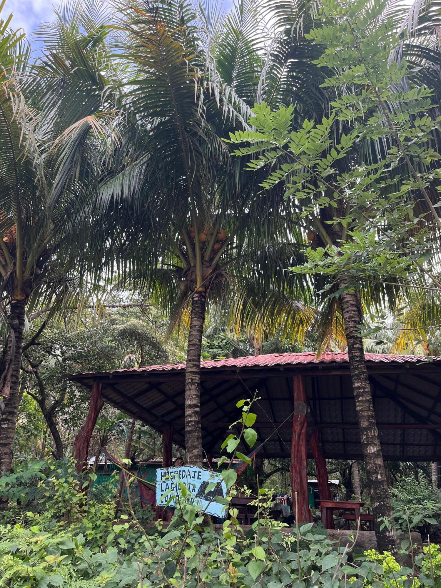 Hostel La Gloria Ometepe Buitenkant foto